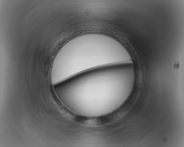 X0000116000505200911191217