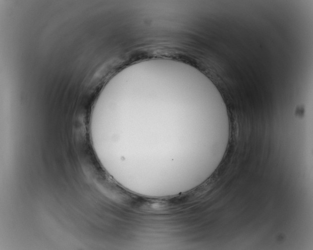 X0000116000506200911191217