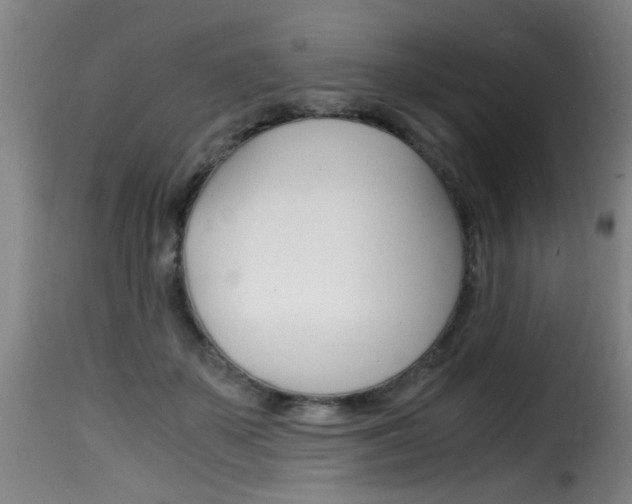 X0000116000507200911191217