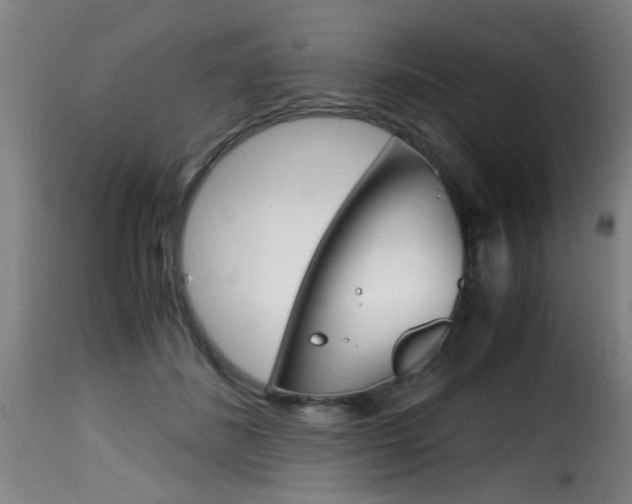 X0000116000508200911191217