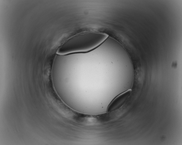 X0000116000509200911191217