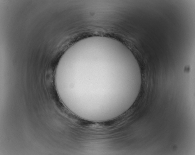 X0000116000511200911191217