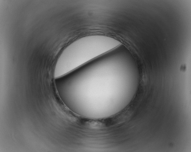 X0000116000512200911191217