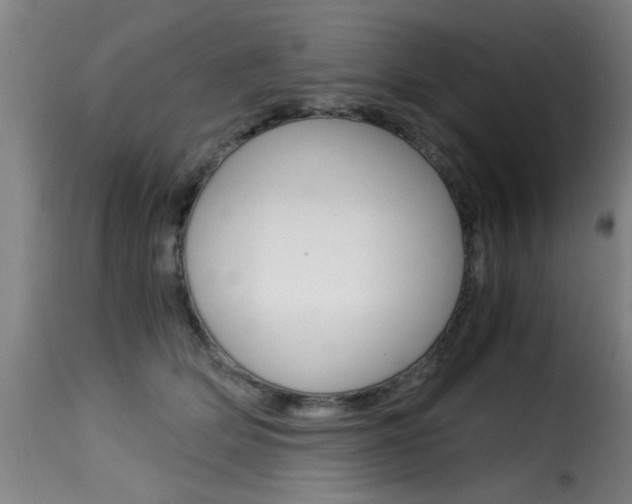 X0000116000514200911191217