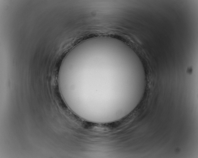 X0000116000515200911191217