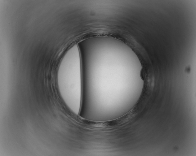 X0000116000516200911191217