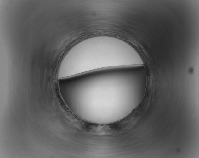 X0000116000517200911191217