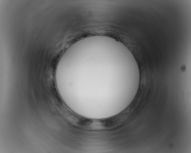 X0000116000518200911191217