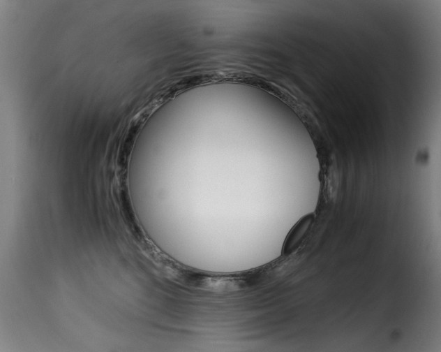 X0000116000520200911191217