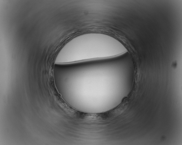 X0000116000521200911191217