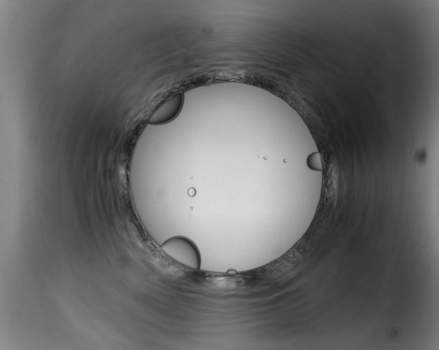 X0000116000522200911191217