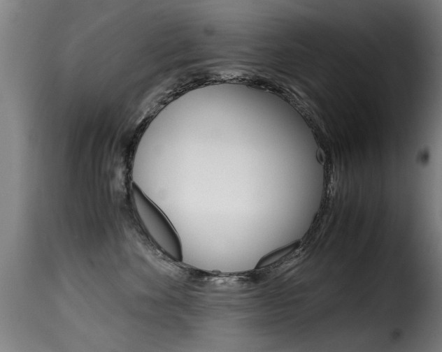 X0000116000524200911191216