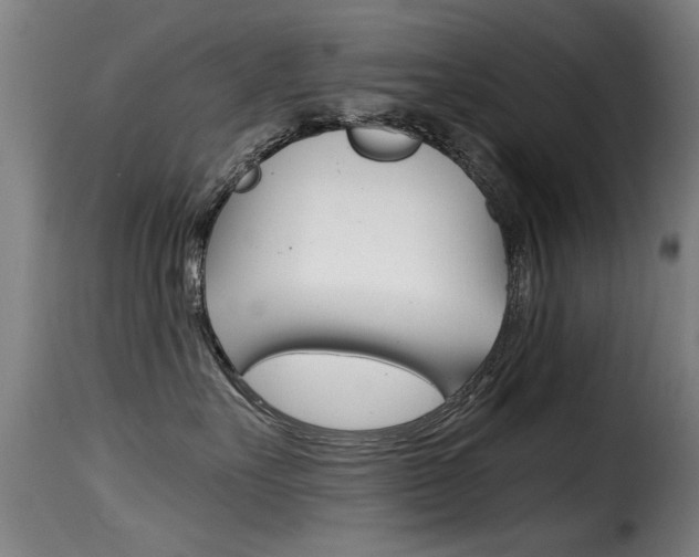 X0000116000527200911191216