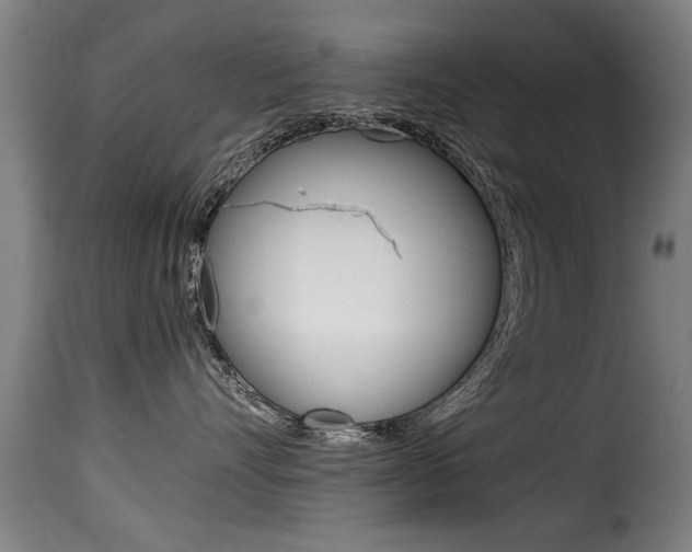 X0000116000528200911191216