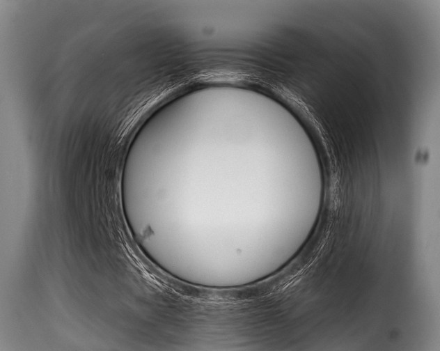 X0000116000529200911191216