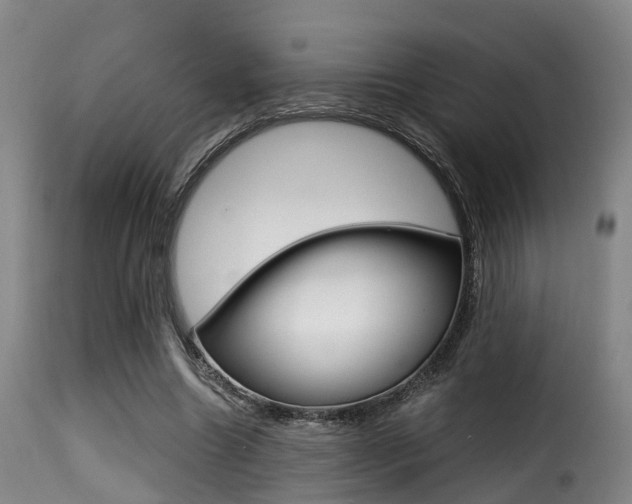 X0000116000538200911191216