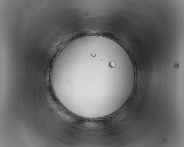 X0000116000545200911191216