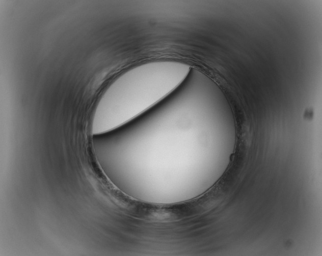 X0000116000547200911191216