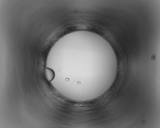 X0000116000557200911191216