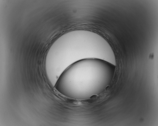 X0000116000558200911191216