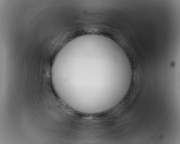 X0000116000561200911191216