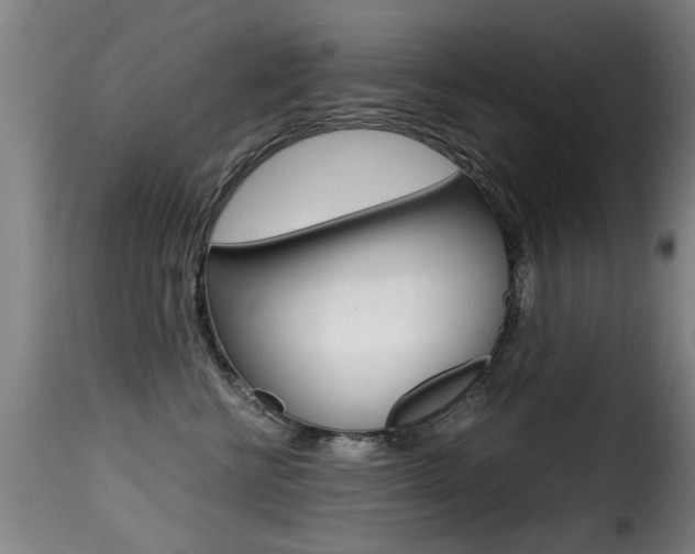 X0000116000570200911191216