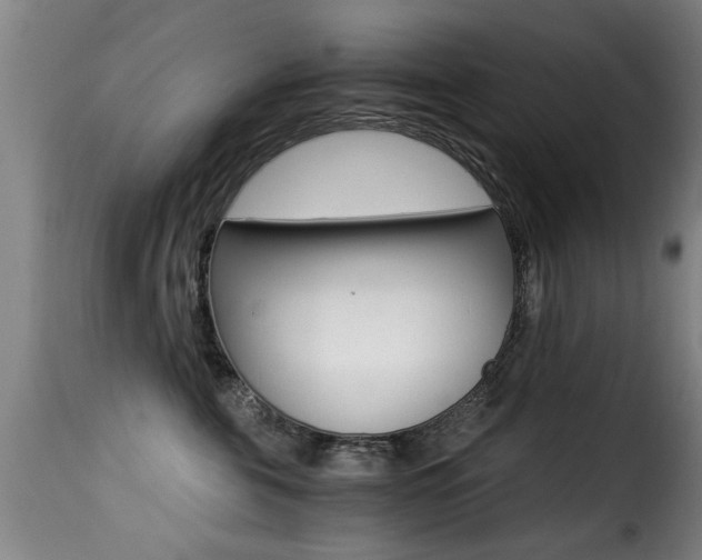 X0000116000571200911191216