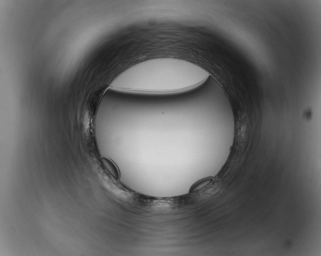 X0000116000574200911191216