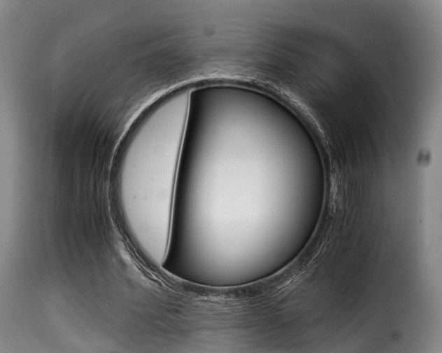 X0000116000580200911191216