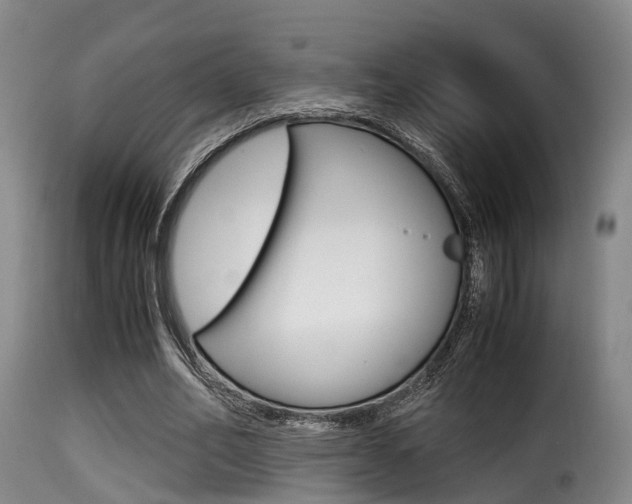 X0000116000582200911191216