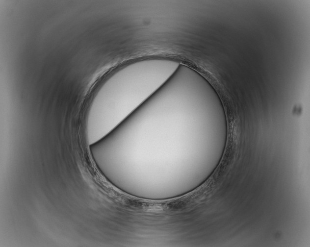 X0000116000587200911191216