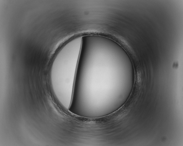 X0000116000588200911191216