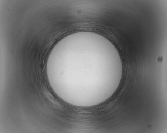 X0000116000597200911191215