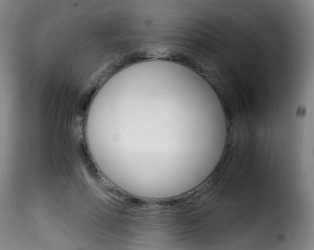 X0000116000598200911191215