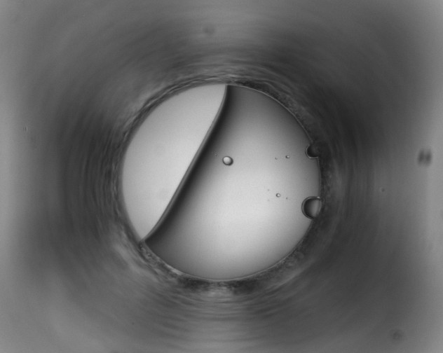 X0000116000600200911191215