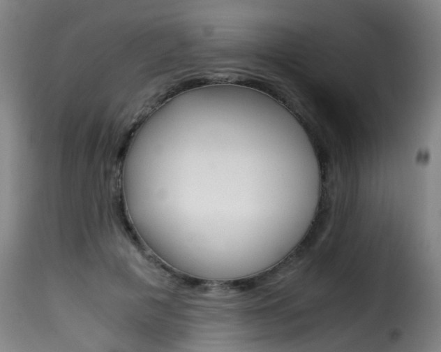 X0000116000601200911191215