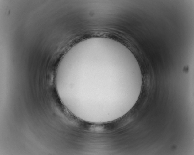 X0000116000602200911191215