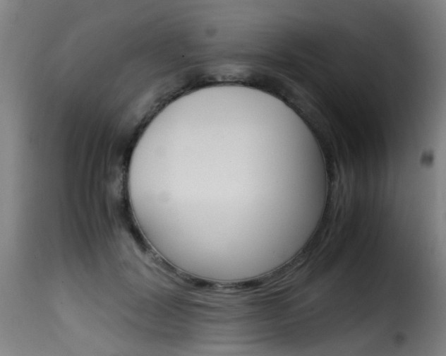 X0000116000604200911191215