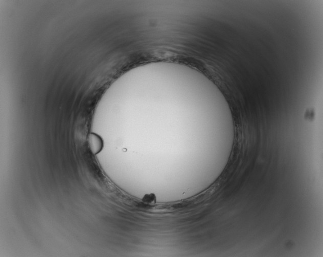 X0000116000606200911191215