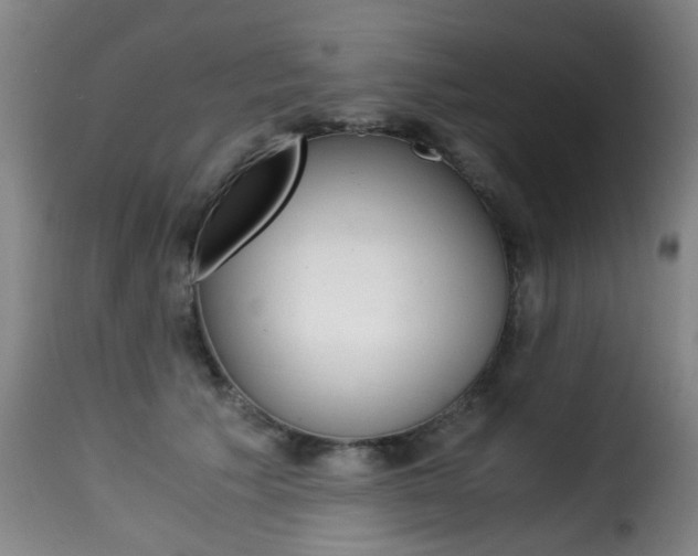 X0000116000609200911191215