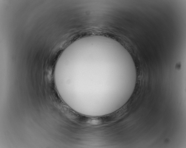 X0000116000610200911191215