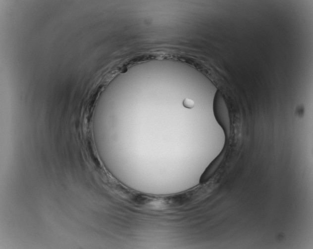 X0000116000611200911191215