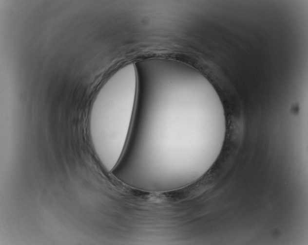 X0000116000612200911191215