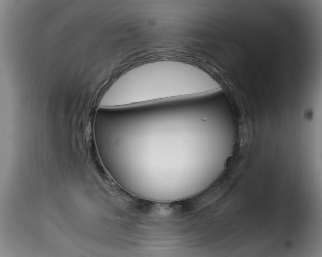 X0000116000613200911191215