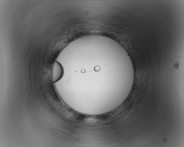 X0000116000614200911191215