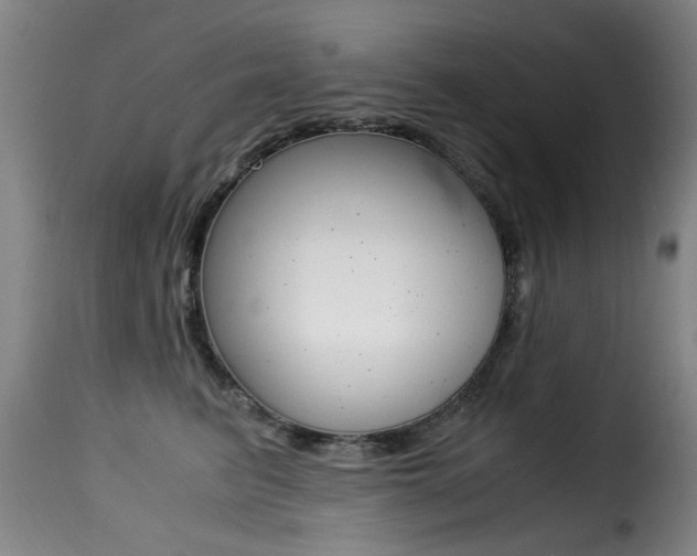 X0000116000615200911191215