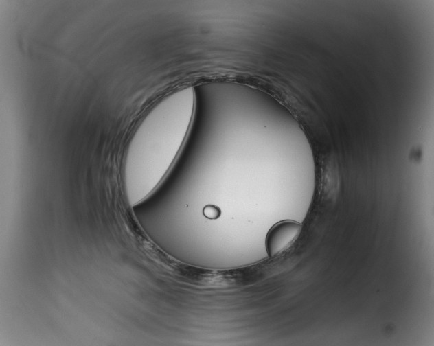 X0000116000616200911191215