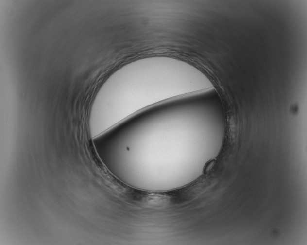 X0000116000617200911191215