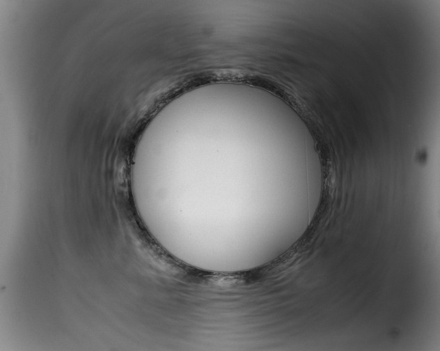 X0000116000619200911191215