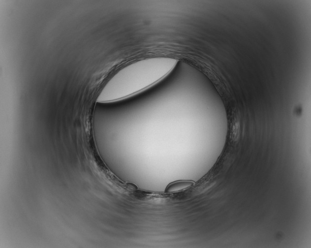 X0000116000620200911191215